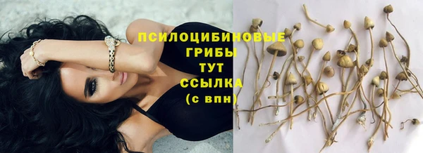 таблы Абаза