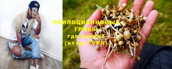 мяу мяу мука Абдулино