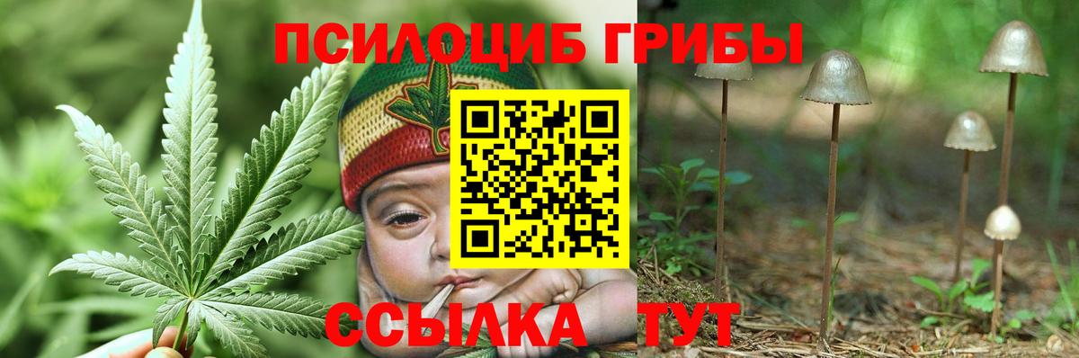 Псилоцибиновые грибы мицелий  Галлюциногенные грибы MAGIC MUSHROOMS  Волоколамск  Вход с VPN 
